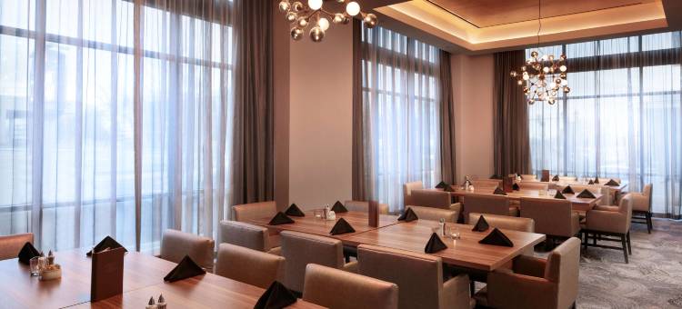 阿马里洛市中心希尔顿安泊酒店(Embassy Suites by Hilton Amarillo Downtown)图片