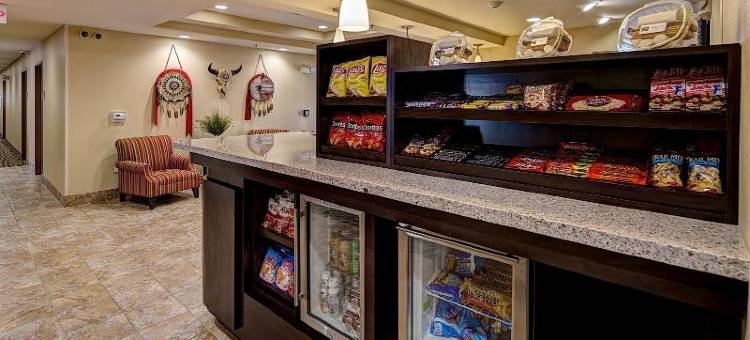 拉皮德城美茵斯坦套房酒店(MainStay Suites Rapid City)图片