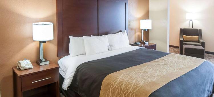 舒适酒店(Comfort Inn North Conroe)图片