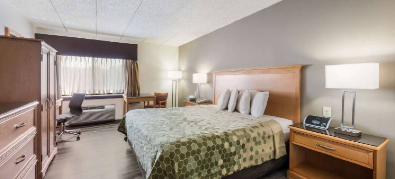 伊可洛吉酒店(Econo Lodge Quakertown)图片