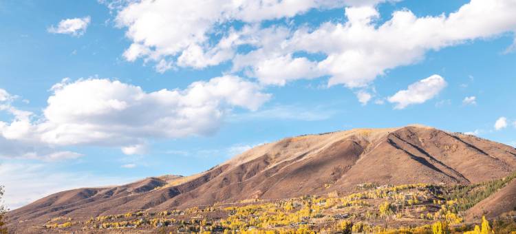 阿斯彭W酒店(W Aspen)图片