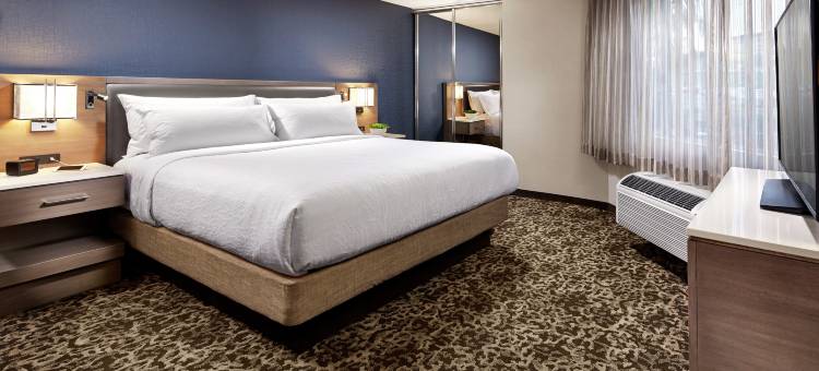 圣迭戈米森谷/体育场希尔顿花园酒店(Hilton Garden Inn San Diego Mission Valley/Stadium)图片