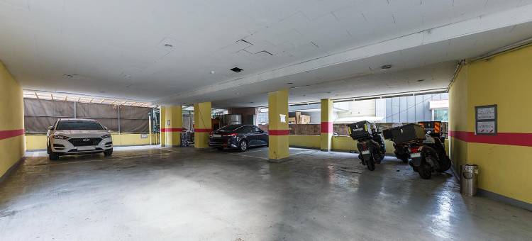 大田柳城柠檬树酒店(Daejeon Yuseong Lemon Tree Hotel)图片