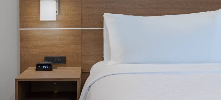 丹顿桑格智选假日套房酒店(Holiday Inn Express & Suites Denton - Sanger)图片