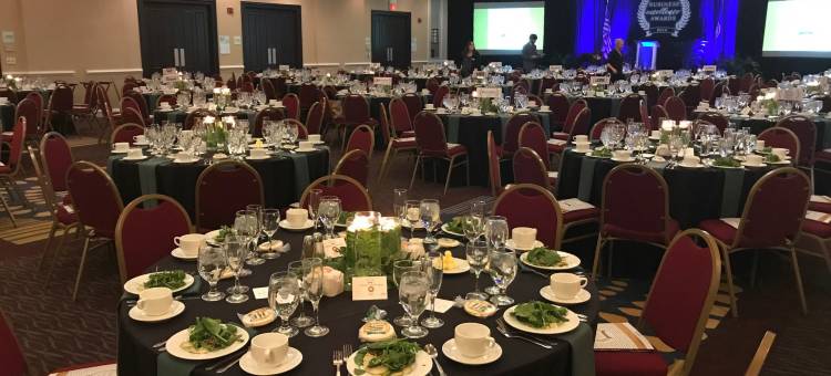 斯汤顿假日酒店及会议中心(Holiday Inn Staunton Conference Center)图片