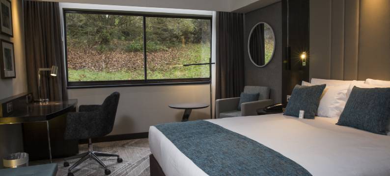 贝辛斯托克皇冠假日酒店(Crowne Plaza Basingstoke, an IHG Hotel)图片