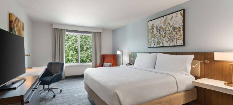 梅尔维尔希尔顿花园旅馆(Hilton Garden Inn Melville)图片