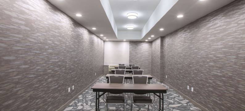 金斯维尔拉昆塔温德姆套房酒店(La Quinta Inn & Suites by Wyndham Kingsville)图片