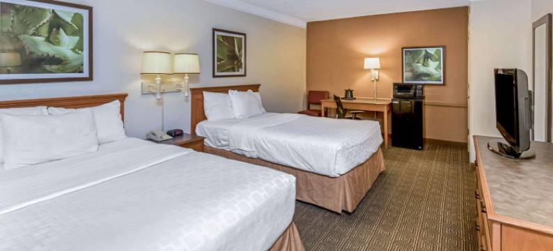 圣安东尼奥I-35瑞特曼路拉昆塔温德姆酒店(La Quinta Inn by Wyndham San Antonio I-35 N at Rittiman Rd)图片