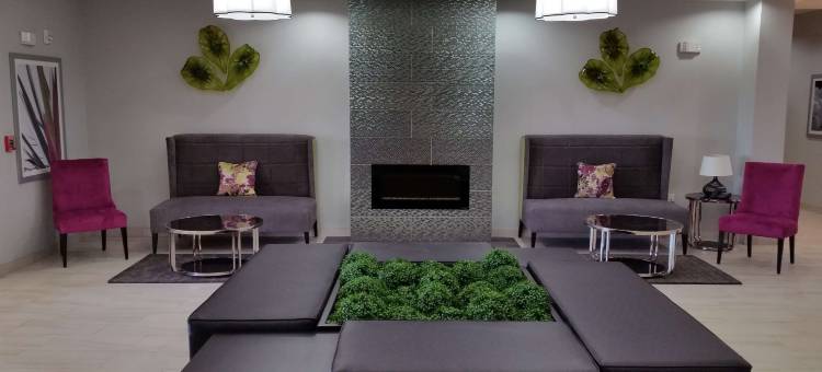 狄利贝斯特韦斯特优质套房酒店(Best Western Plus Dilley Inn  Suites)图片