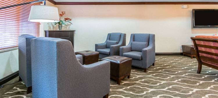 舒适套房酒店(Comfort Suites)图片