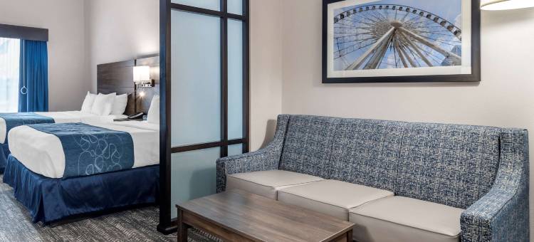 亚特兰大南部麦克多诺舒适套房酒店(Comfort Suites McDonough Atlanta South)图片