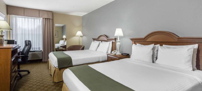 塞尔马温德姆戴斯酒店(Days Inn by Wyndham Selma)图片