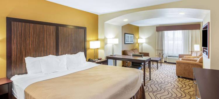 弗洛里斯维尔拉昆塔温德姆套房酒店(La Quinta Inn & Suites by Wyndham Floresville)图片