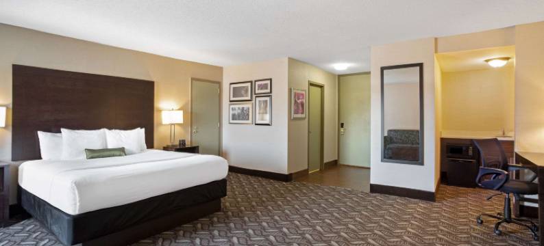 斯普林菲尔德拉昆塔温德姆套房酒店(La Quinta Inn & Suites by Wyndham Springfield MA)图片