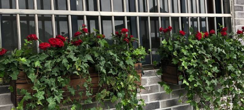 仙根农庄(新淳线分店)图片