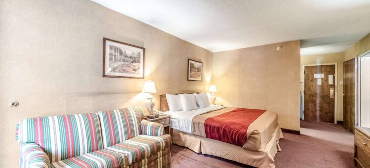 布雷纳德伊克诺旅馆(Econo Lodge)图片