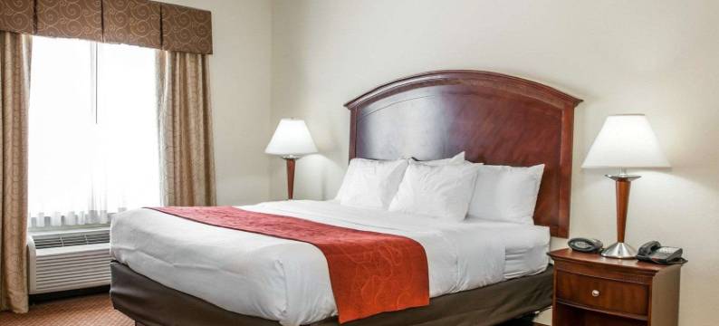 舒适套房酒店-近印第安纳波利斯机场(Comfort Suites Near Indianapolis Airport)图片