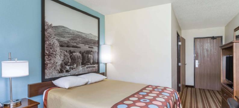 丹维尔速8酒店(Super 8 by Wyndham Danville VA)图片