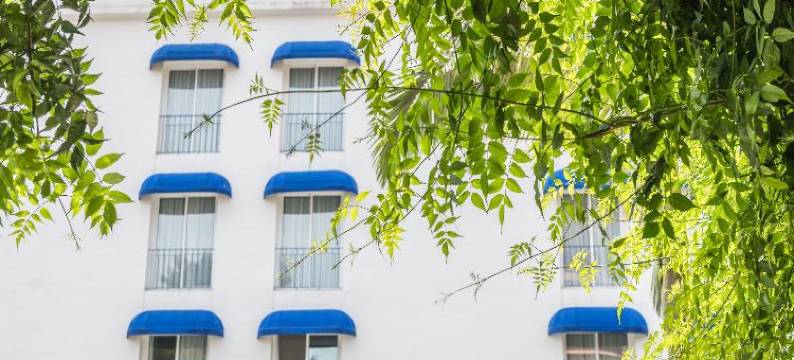 中锡切斯公园酒店(Hotel Medium Sitges Park)图片