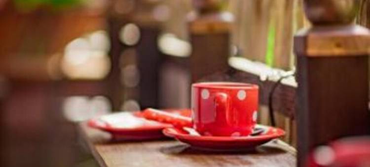 阿尔特斯辛特豪塞尔公寓(Apartment Altes Hinterhäusel)图片