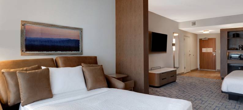 明尼阿波利斯市中心万枫酒店及套房(Fairfield Inn & Suites Minneapolis Downtown)图片