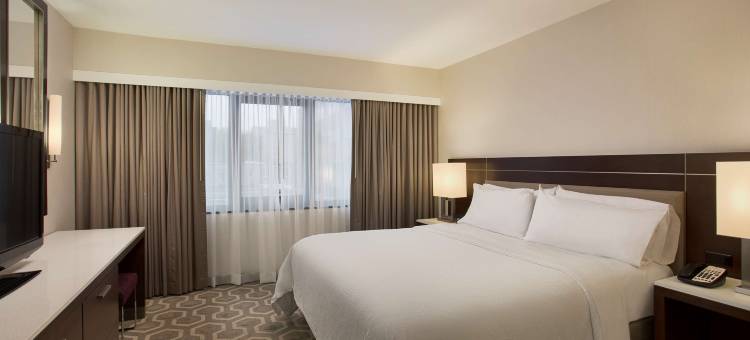 华盛顿特区酒店 - 乔治城希尔顿安泊酒店(Embassy Suites by Hilton Washington DC Georgetown)图片