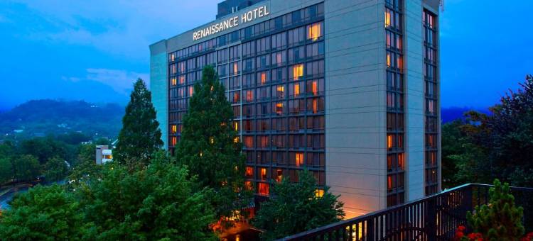阿什维尔市中心万丽酒店(Renaissance Asheville Downtown Hotel)图片