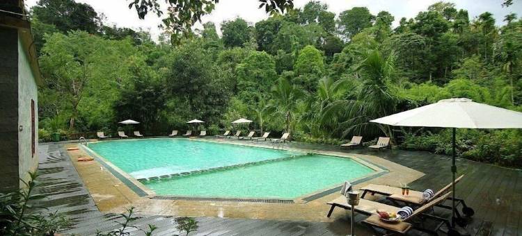 维提里温泉度假村(Vythiri Resort)图片