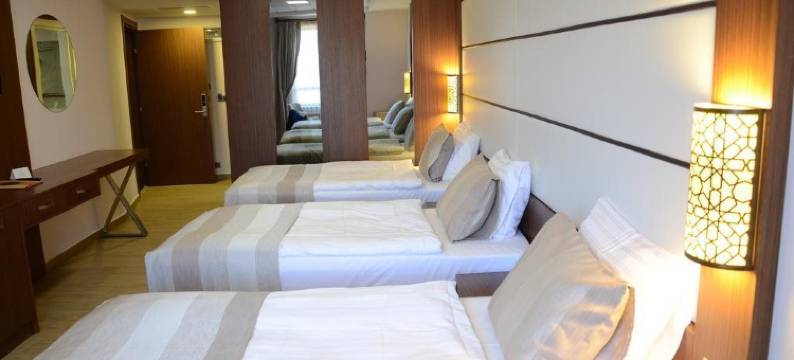 萨法皇家博物馆酒店(Safa Royal Museum Hotel)图片