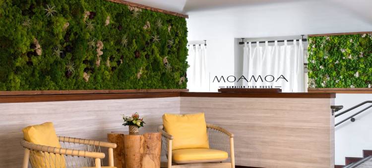 可爱岛可可纳特海滩喜来登度假酒店(Sheraton Kauai Coconut Beach Resort)图片