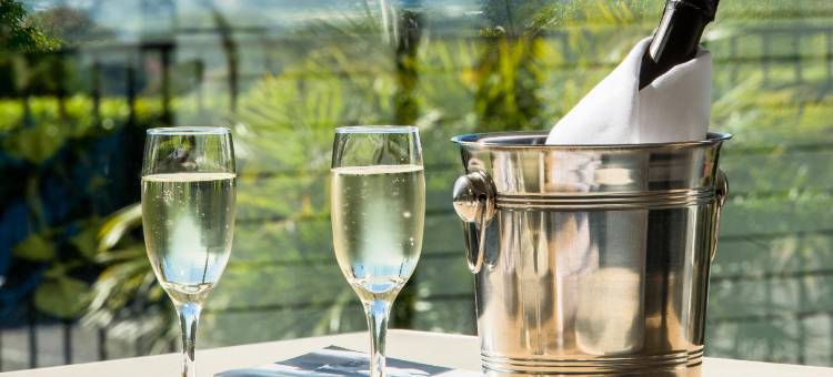 查尔斯敦美居酒店(Mercure Charlestown)图片