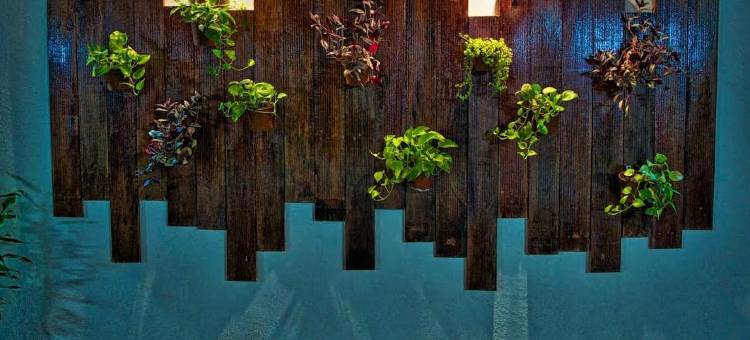 德波塔尼酒店(De Botani Hotel)图片