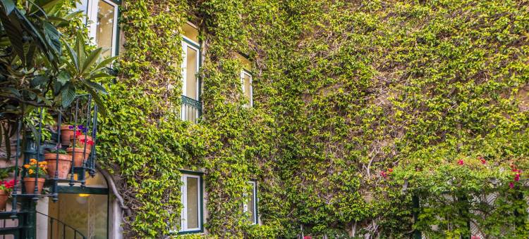 哈尼拉斯绿意酒店 - 里斯本古迹精选(As Janelas Verdes Inn - Lisbon Heritage Collection - Riverside)图片