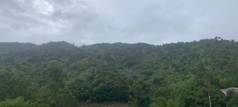 三平印象民宿图片