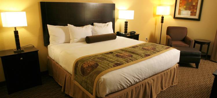 加戈尔兹伯勒贝斯特韦斯特优质酒店(Best Western Plus Goldsboro)图片