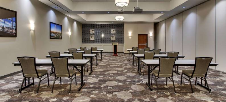 达拉斯理查森德鲁里广场酒店(Drury Plaza Hotel Dallas Richardson)图片