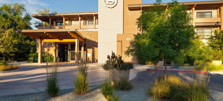 雷丁日晷桥喜来登酒店(Sheraton Redding Hotel at the Sundial Bridge)图片