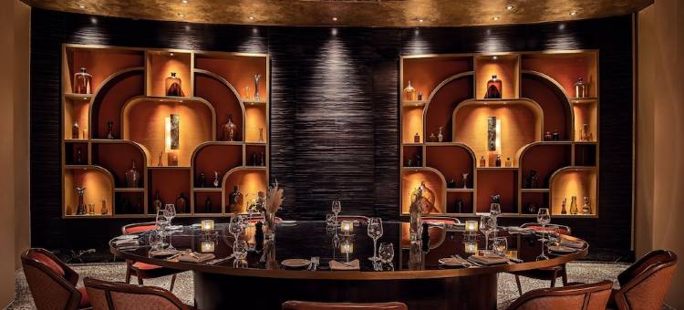 杜塞尔多夫凯悦酒店(Hyatt Regency Dusseldorf)图片