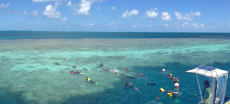 艾尔利基地海滩度假村 - 青年旅馆(Base Backpackers Airlie Beach)图片