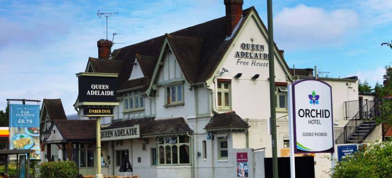 埃普瑟姆Sure Hotel Collection by Best Western兰花(Orchid Epsom, Sure Hotel Collection by Best Western)图片