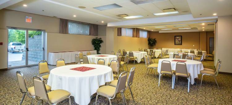 舒适套房酒店(Comfort Inn & Suites)图片