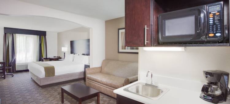 智选假日套房酒店梅宾(Holiday Inn Express & Suites Mebane)图片