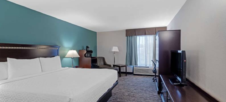 康提赛德-芝加哥地区贝斯特韦斯特优质酒店(Best Western Plus Chicagoland - Countryside)图片