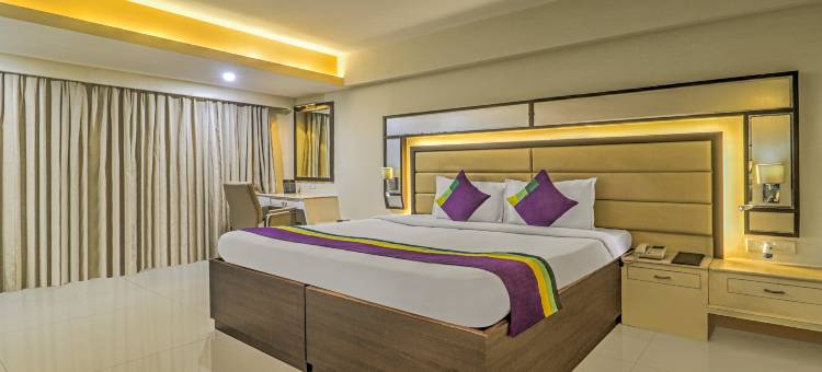 Treebo 高级大都会(Treebo Premium Metropolis)图片