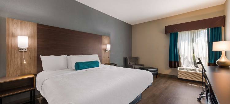 阿尔伯马尔贝斯特韦斯特酒店(Best Western Albemarle Inn)图片