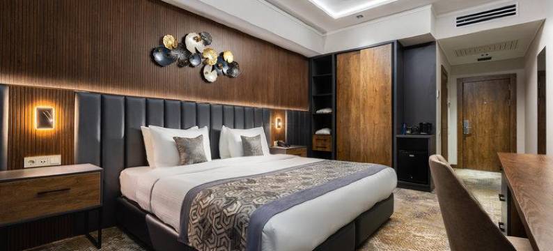 Shamsan机场酒店(Shamsan Airport Hotel)图片