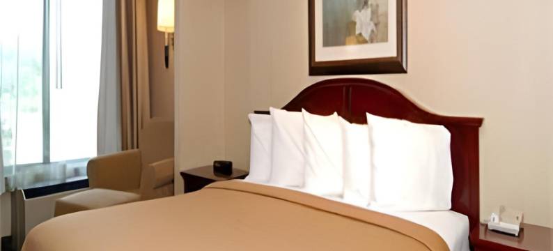 凯艺套房酒店(Quality Inn & Suites)图片