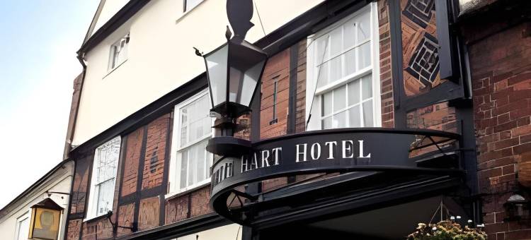 白鹿酒店(White Hart Hotel)图片