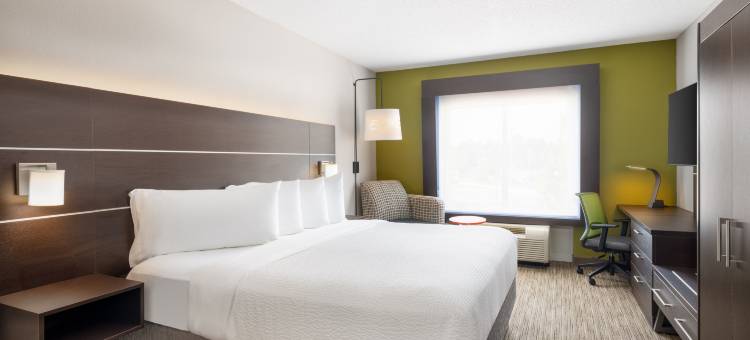 智选假日套房酒店春山(Holiday Inn Express & Suites Spring Hill)图片